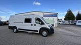 Clever Runner 636 Citroen Heavy 165PS  - Clever Runner