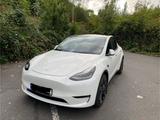 Tesla Model Y Performance, 1. Hand,  8-fach bereift - Tesla Model Y in Essen