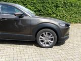 Mazda CX-30 SKYACTIV-G 150PS Automatik SELECTION + DES - Mazda CX-30