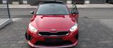 Kia KIA Proceed GT Line  140ps - Kia Sportage Kombi Gebrauchtwagen