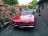 Ford Mustang 289 V8 Cabrio 64  Oldtimer 2... - Ford Mustang: Old