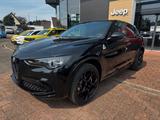 Alfa Romeo Stelvio 2.9 V6 Bi-T.  Quadrifoglio NAVI ALLRAD - Alfa Romeo: Quadrifoglio