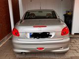 Peugeot 206 CC Roland Garros 110 Roland Garros - Peugeot 206: Leder