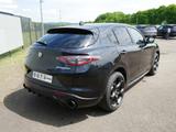 Alfa Romeo Stelvio VELOCE 2.0 TURBO 16V 280 PS AT8 Q4 21 ZO - Alfa Romeo Stelvio Tageszulassungen