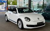 Volkswagen New Beetle 1.2 TSI CABRIO *KLIMAAUTO*TEMPOMAT* - weiße Volkswagen New Beetle