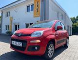 Fiat Panda Lounge=1.Hand-Klimaautomatik-= - Fiat Panda in Lübeck