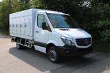 Mercedes-Benz Sprinter 516 CDI 310 Cold Car 5+5 Türen -33°C - Offers