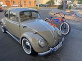 Volkswagen Käfer - Offers matching your search criteria