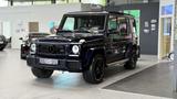 Mercedes-Benz G 63 AMG |H&K|Kamera|Raute|AHK| - Mercedes-Benz G 63 AMG aus 2013
