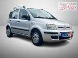 Fiat Panda 1.2 8V Dynamic,TÜV07/27,4/5 Türer,Klima,MP - Fiat Panda bis 5.000 Euro