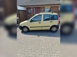 Fiat 1A ERHALTENER FIAT PANDA OHNE MÄNGEL NEUES... - Fiat Panda in Oldenburg