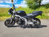 Triumph Speed Triple 955i 595N - TRIUMPH SPEED TRIPLE 955I