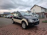 Fiat Panda 1.3 JTD Cross 4X4 - Fiat Panda: 1.4