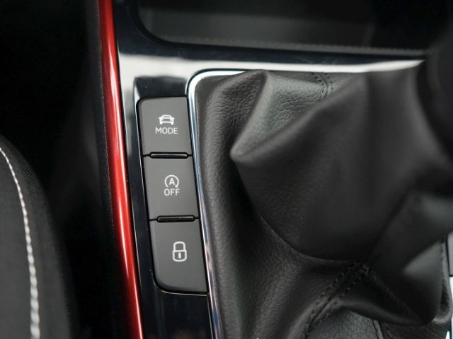 Fabia MONTE CARLO TSI+LED+NAVI+RÜCKFAHRKAMERA+SI