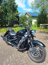 Suzuki C800 Intruder Black Edition *TÜV NEU* - SUZUKI INTRUDER C 800