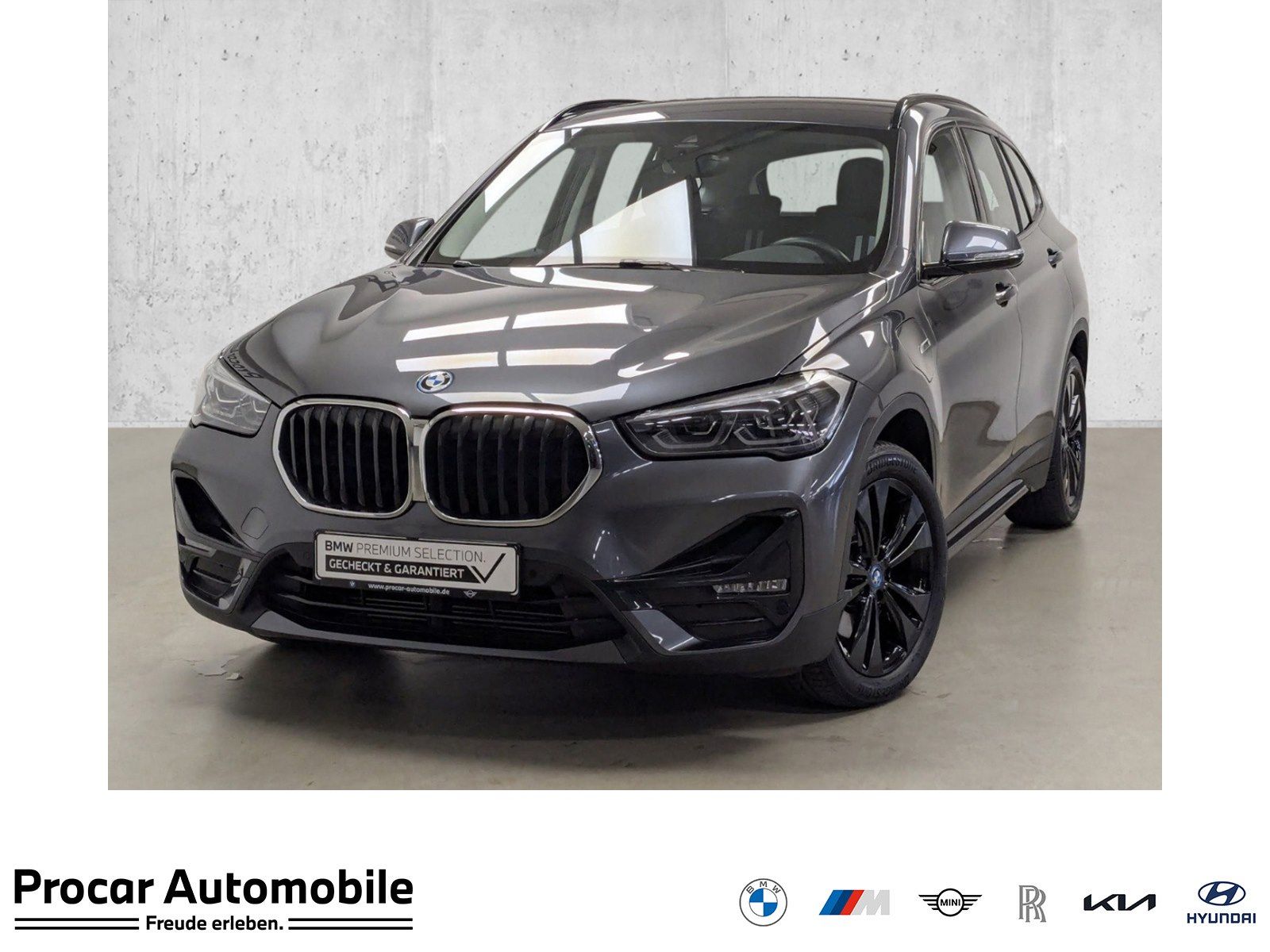 BMW X1 xDrive25e Sport Line RFK NAVI LED DAB DA PA P