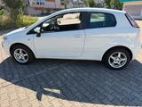 Fiat Punto 1.2 8V POP Tüv Neu - Fiat Punto: 1.2