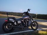 Harley-Davidson Dyna Street Bob FXDB 103" - HARLEY-DAVIDSON DYNA STREET BOB FXDB