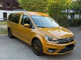 Volkswagen Caddy Maxi 2.0 TDI Behindertengerecht Rollstuhl  - VW Caddy Maxi von privat