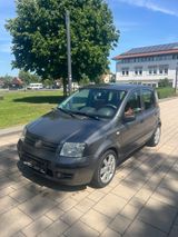 Fiat Panda 1.2 8V  Klima+Tüv neu+Serviceheft gepflegt - Fiat Panda mit Benzin-Antrieb: Limousine, 2.8
