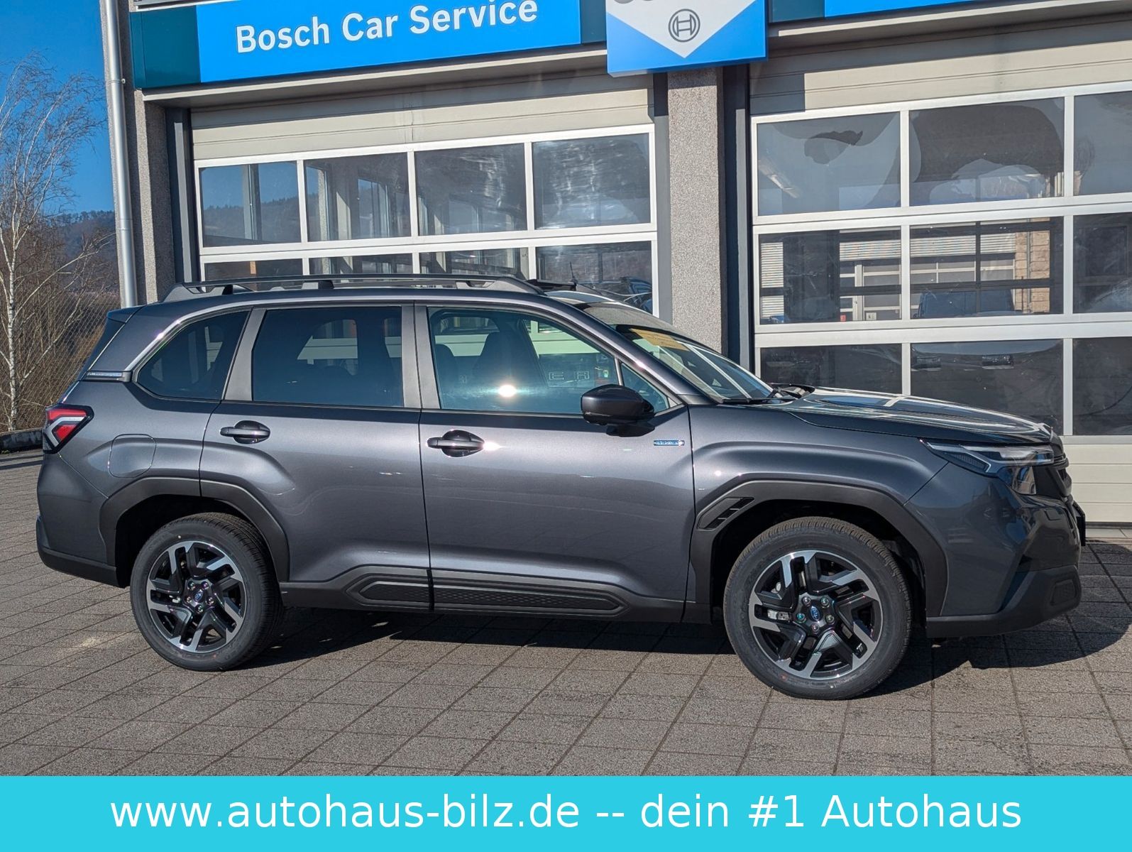 Bild 11