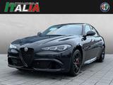 Alfa Romeo Giulia Quadrifoglio 2.9 V6 Bi-Turbo *Akrapovic* - Alfa Romeo Giulia Akrapovic Gebrauchtwagen