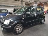 Fiat Panda 1.2 8V Dynamic KLIMA TUV ZAHNRIEMEN NEU - Fiat Panda: Schwarz