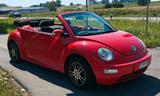 Volkswagen VW New Beetle Cabrio, Youngtimer in Topzus... - : Cabrio, Youngtimer