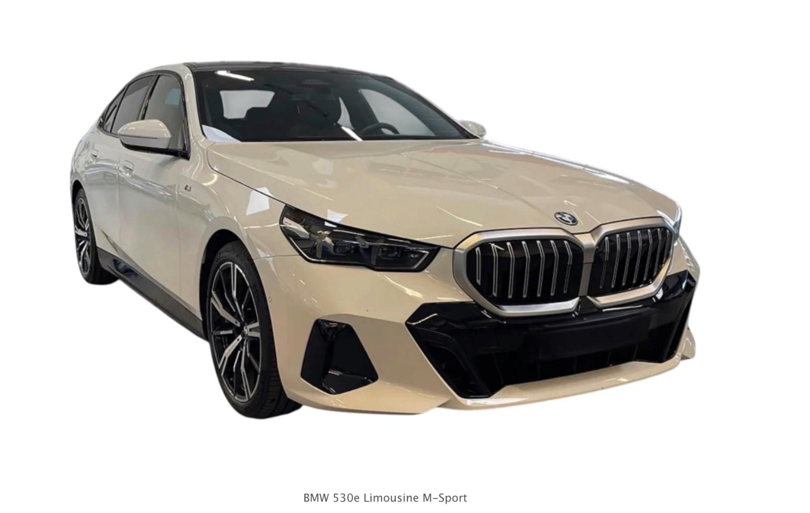 BMW 530e M Sport / PANO / AHK / HK / BRAUN LEDER