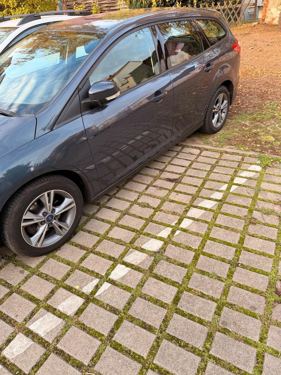 Ford Focus 2013 — rear view