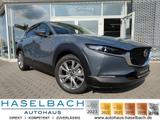 Mazda CX-30 Exclusive BOSE Matrix 360° Klimaaut Tempom - mit Benzin-Antrieb: Pickup