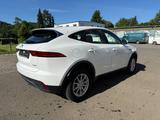Jaguar E-Pace E-PACE Basis - Jaguar Gebrauchtwagen von 2019
