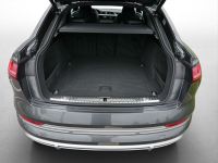 Audi e-tron - Vorschau Bild 12