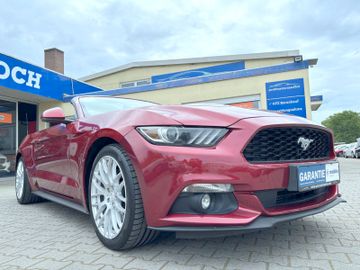 Ford Mustang - 12