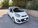 Kia Picanto 5 Porte Picanto 1.0 City Gpl 5p my13 - Kia: Cabrio
