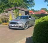 Ford Mustang GT Roush - Ford Mustang: Roush