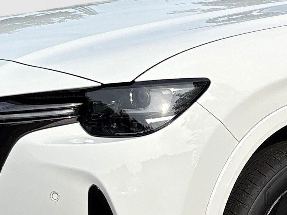Fahrzeugabbildung Mazda CX-60 3.3d 200PS A/T Homura Plus