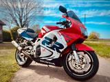 Honda CBR 900RR SC33 - Bj. 99 - 33.750 km - Angebote