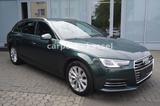 Audi A4 Avant quattro design Automatik/WR+SR/1. Hand - Audi A4: Grün, mit Navigationssystem