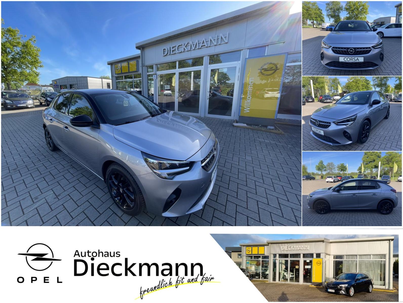 Opel Corsa Elegance SHZ RFK Multimedia PDC Allwetter
