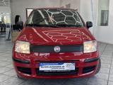 Fiat Panda 1.2 8V MyLive, Klima, HU neu ! - Fiat Panda: Rot