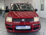 Fiat Panda 1.2 8V MyLive, Klima, HU neu ! - Fiat Panda: 2.8