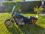 Harley-Davidson Sporty XL 883L - HARLEY-DAVIDSON SPORTY