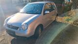 Volkswagen VW Lupo 1.0 College 6x Winterauto Kleinwagen - Volkswagen Lupo: College