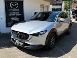 Mazda CX-30 Selection Kamera Head-Up CarPlay Sitzhz. - Mazda CX-3 in Wuppertal