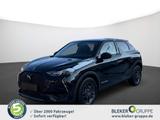 DS Automobiles DS3 Crossback Louvre - DS Automobiles DS3 Crossback aus 2022