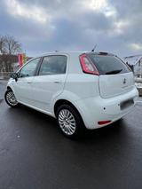 Fiat Punto Young Modell 2015 - Fiat Punto YOUNG mit Benzin-Antrieb