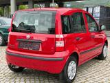 Fiat Panda 1.2 8V 69PS MyLive Klima 1.Hand TÜV NEU - Fiat Panda: My