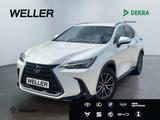 Lexus NX 450h+ E-FOUR Executive Line *LED*HUD*360°*ACC - Lexus NX-Serie