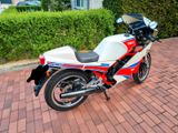 Yamaha RD 350 31K - Angebote entsprechen deinen Suchkriterien